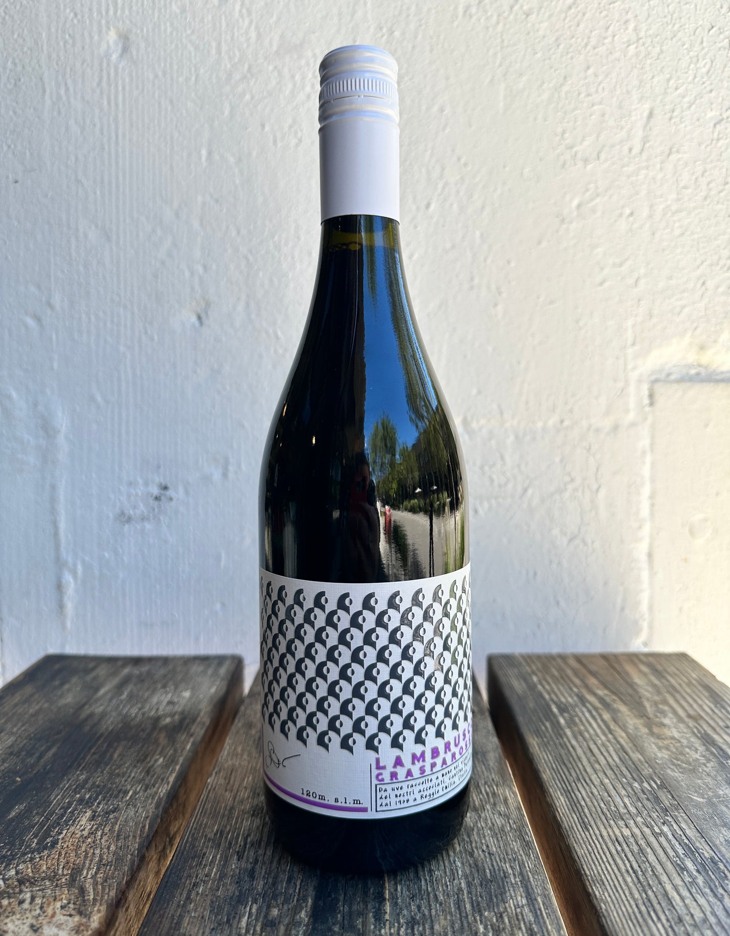 Cantina Puianello Lambrusco Grasparossa