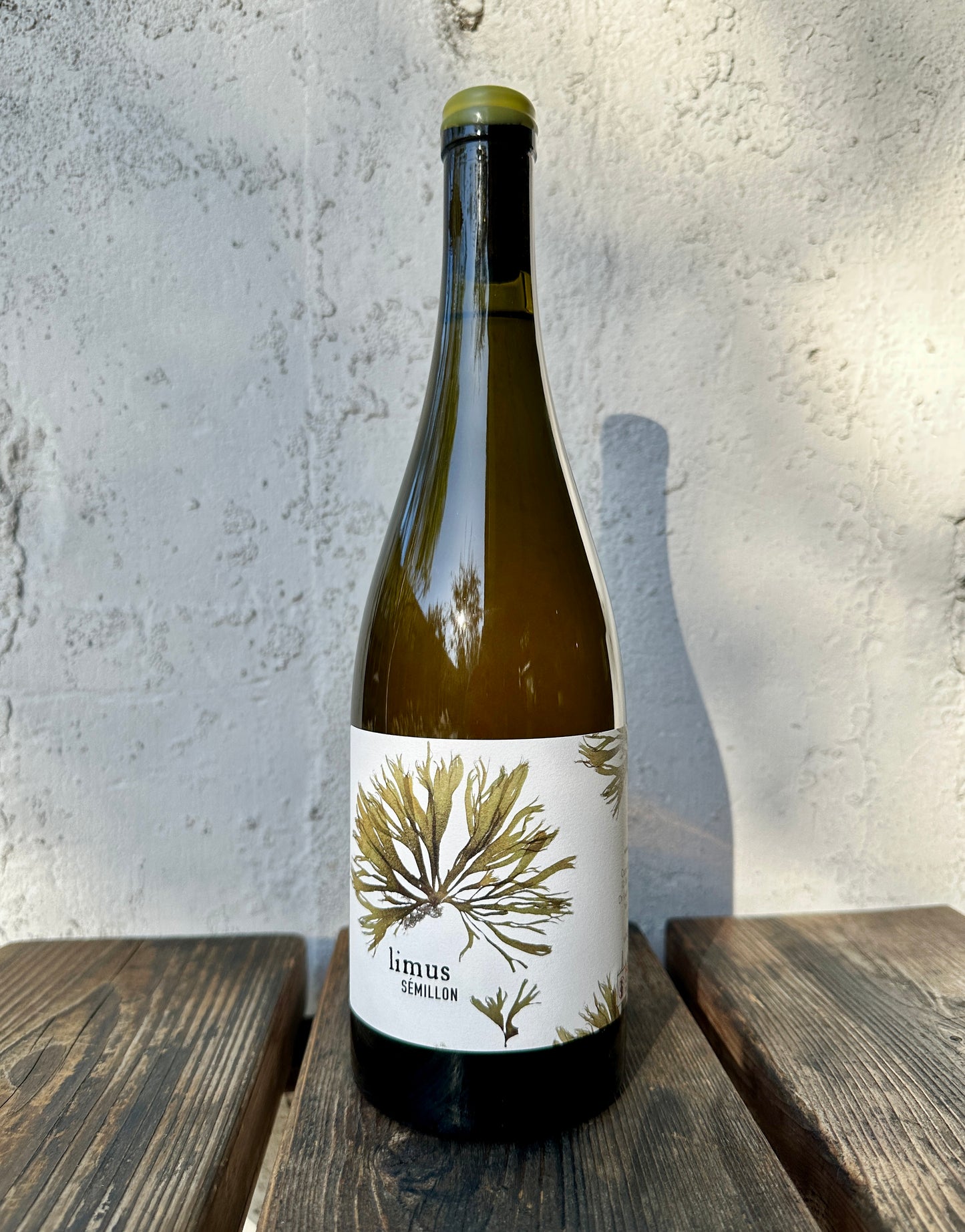 Limus Semillon