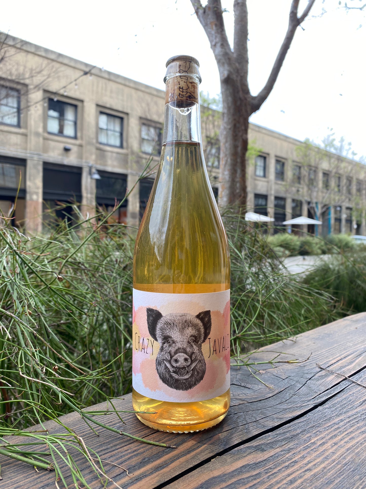 Quinta do Javali "Crazy Branco" Skin Contact