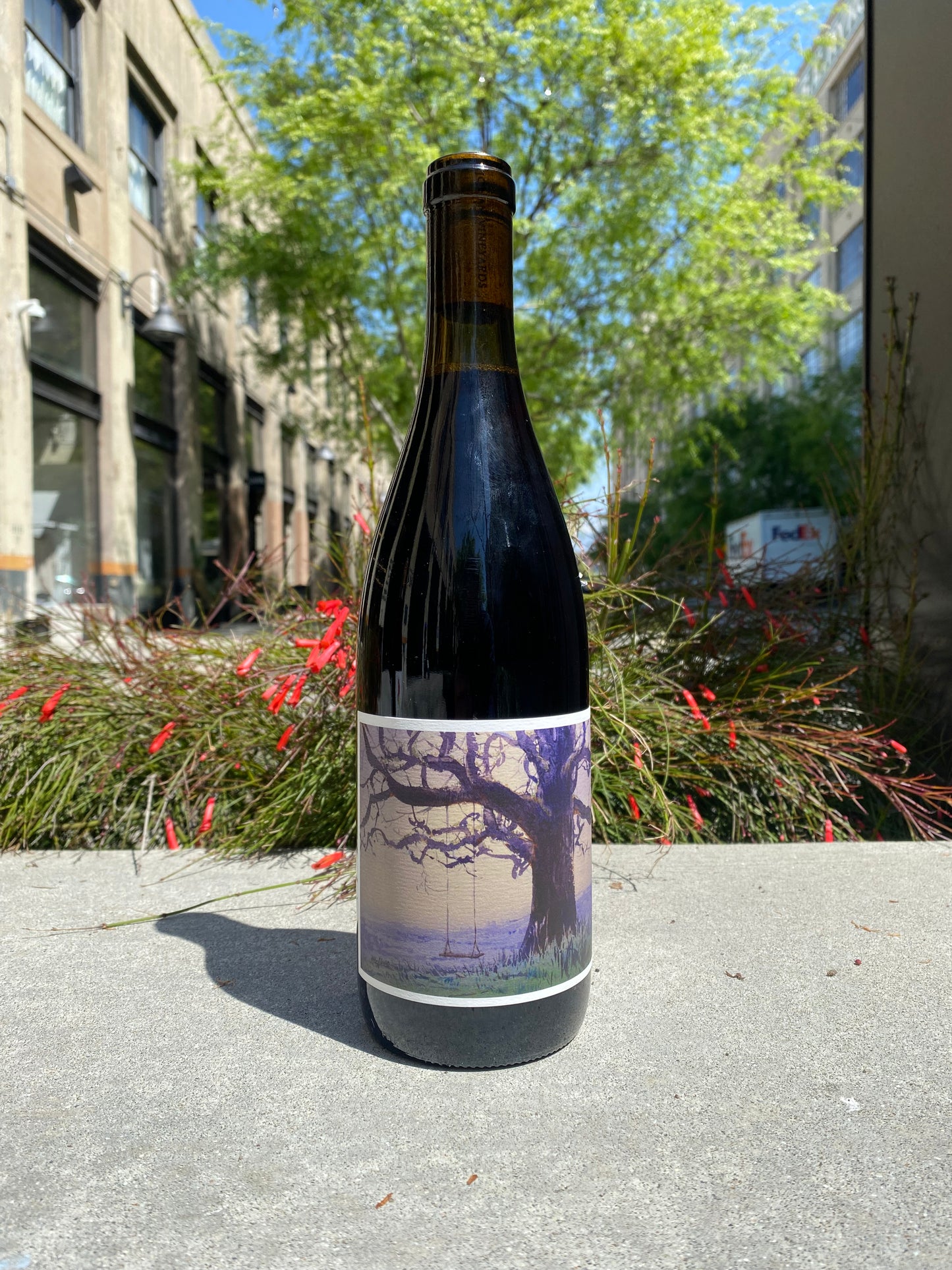 Johan Vineyards 2021 Pinot Noir 'Sapience'