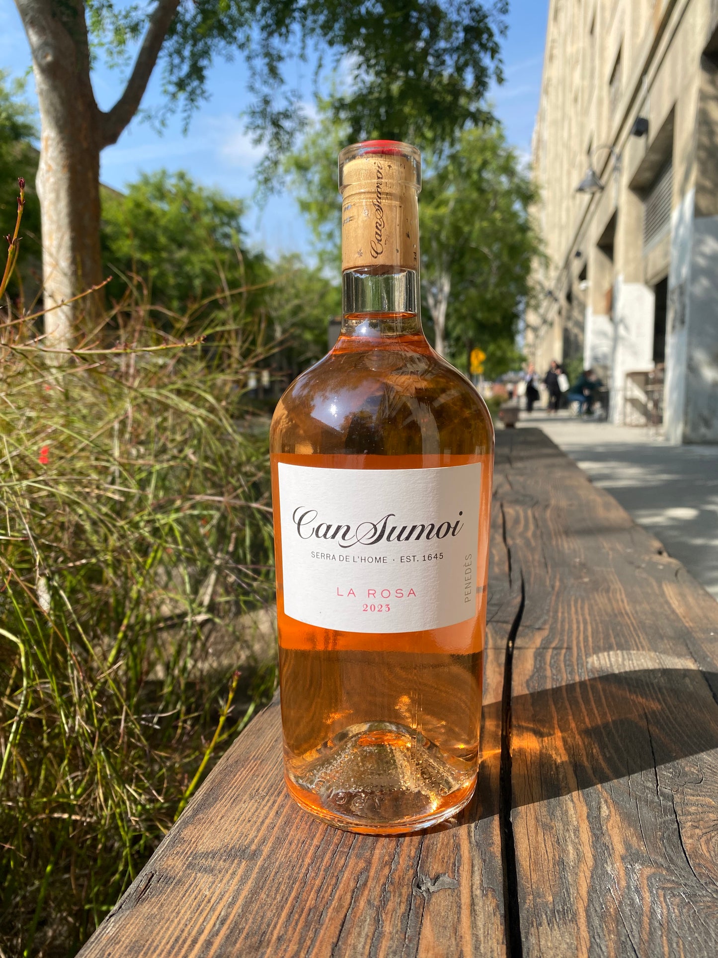 Can Sumoi La Rosa