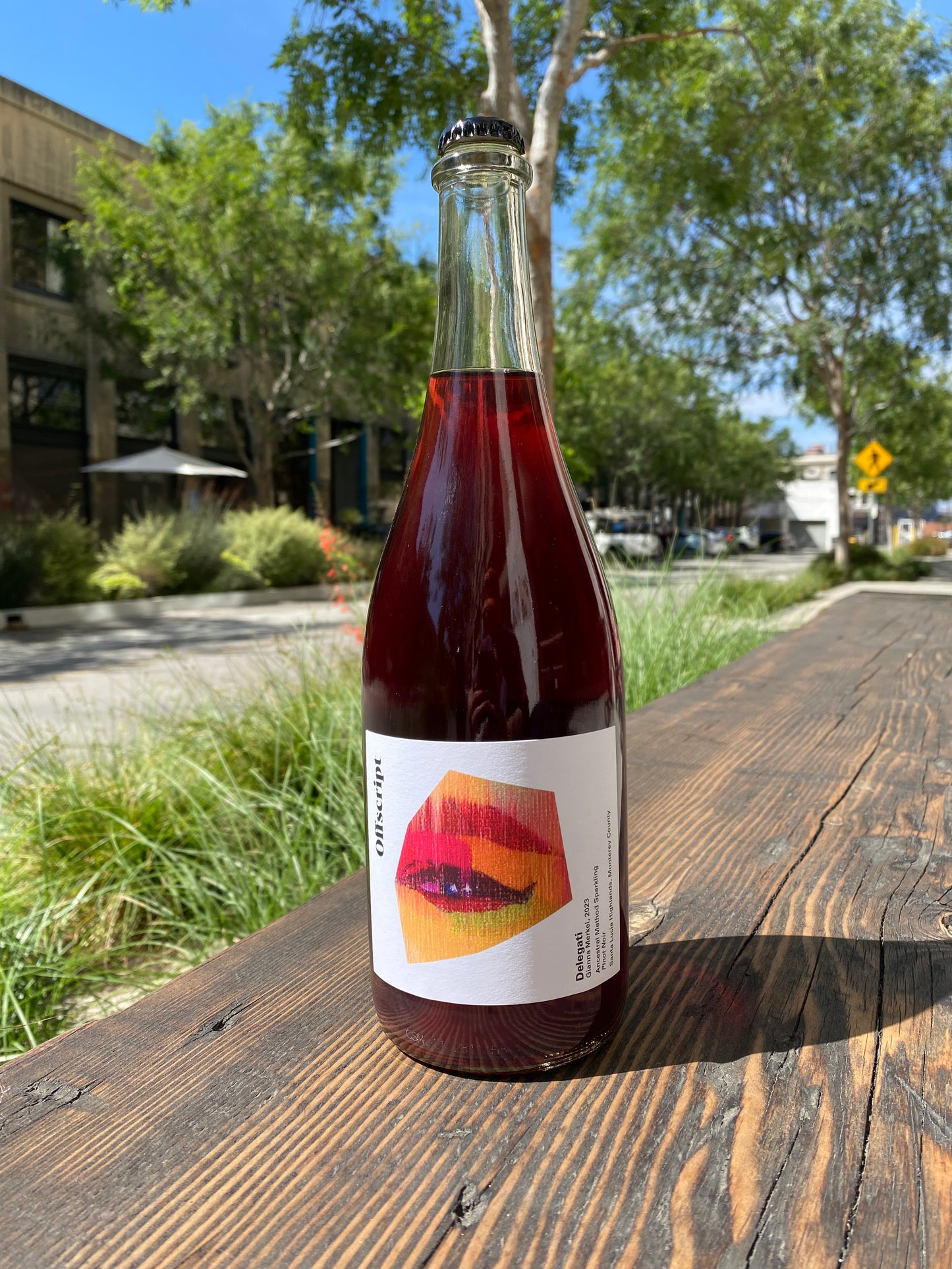 Offscript Delegati Pet Nat Pinot Noir