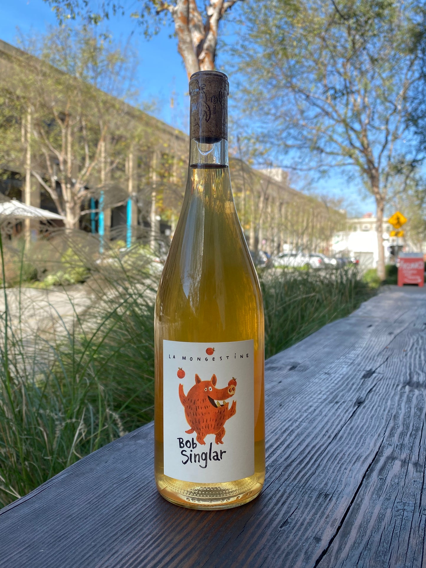 Domaine de la Mongestine Bob Singlar Orange 2024