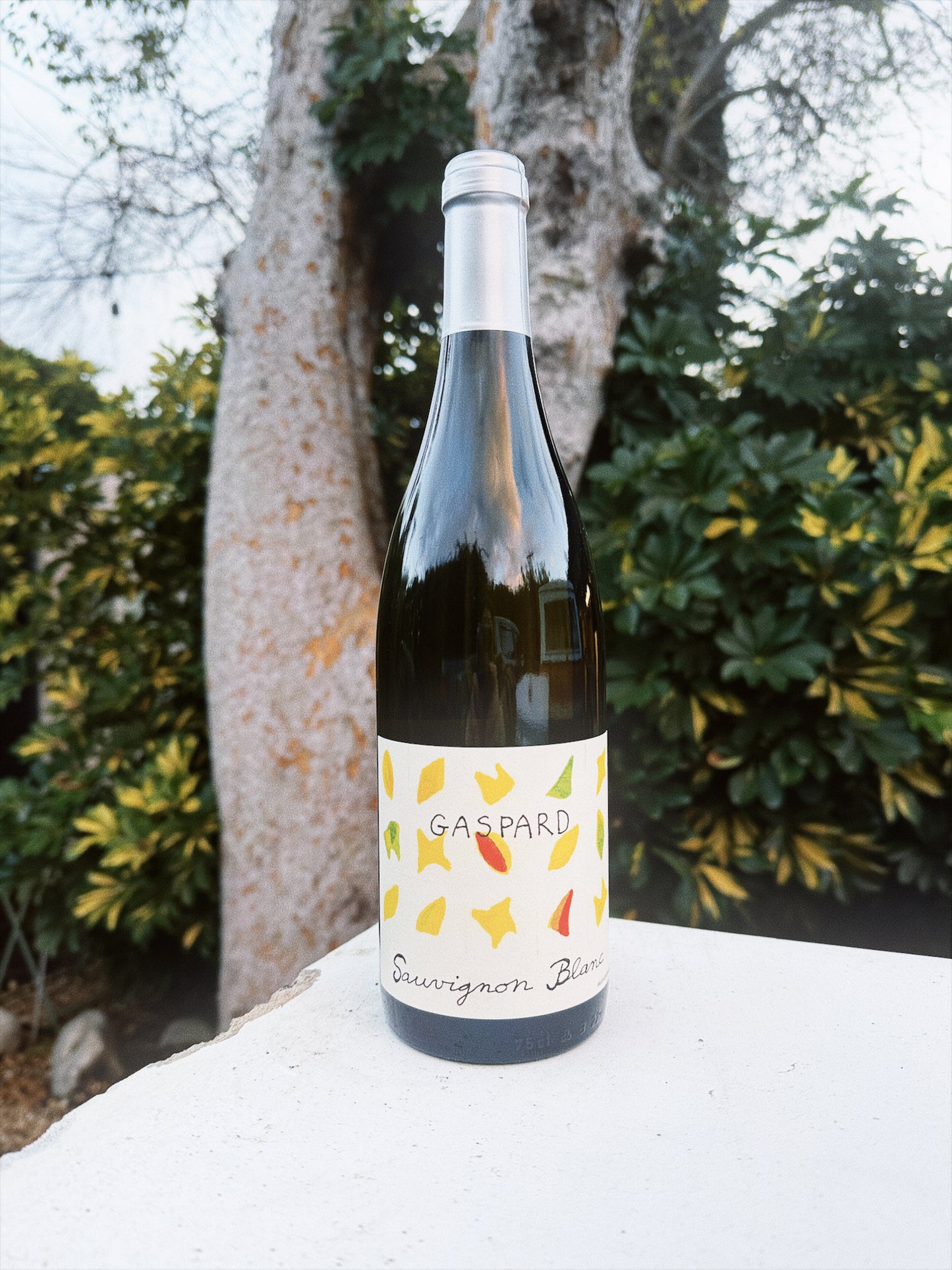 Gaspard Sauvignon Blanc