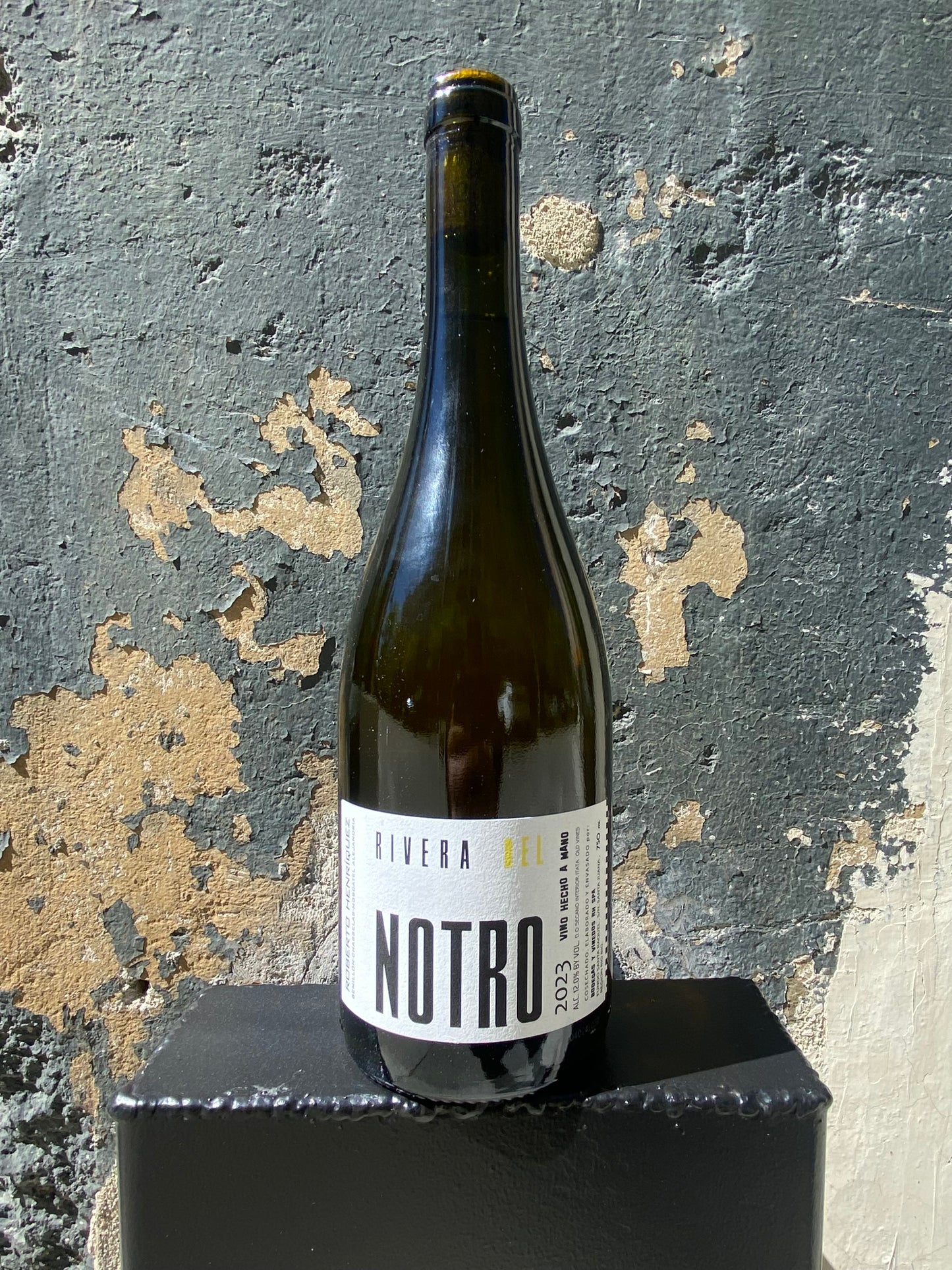 Roberto Henriquez Rivera Del Notro Blanco