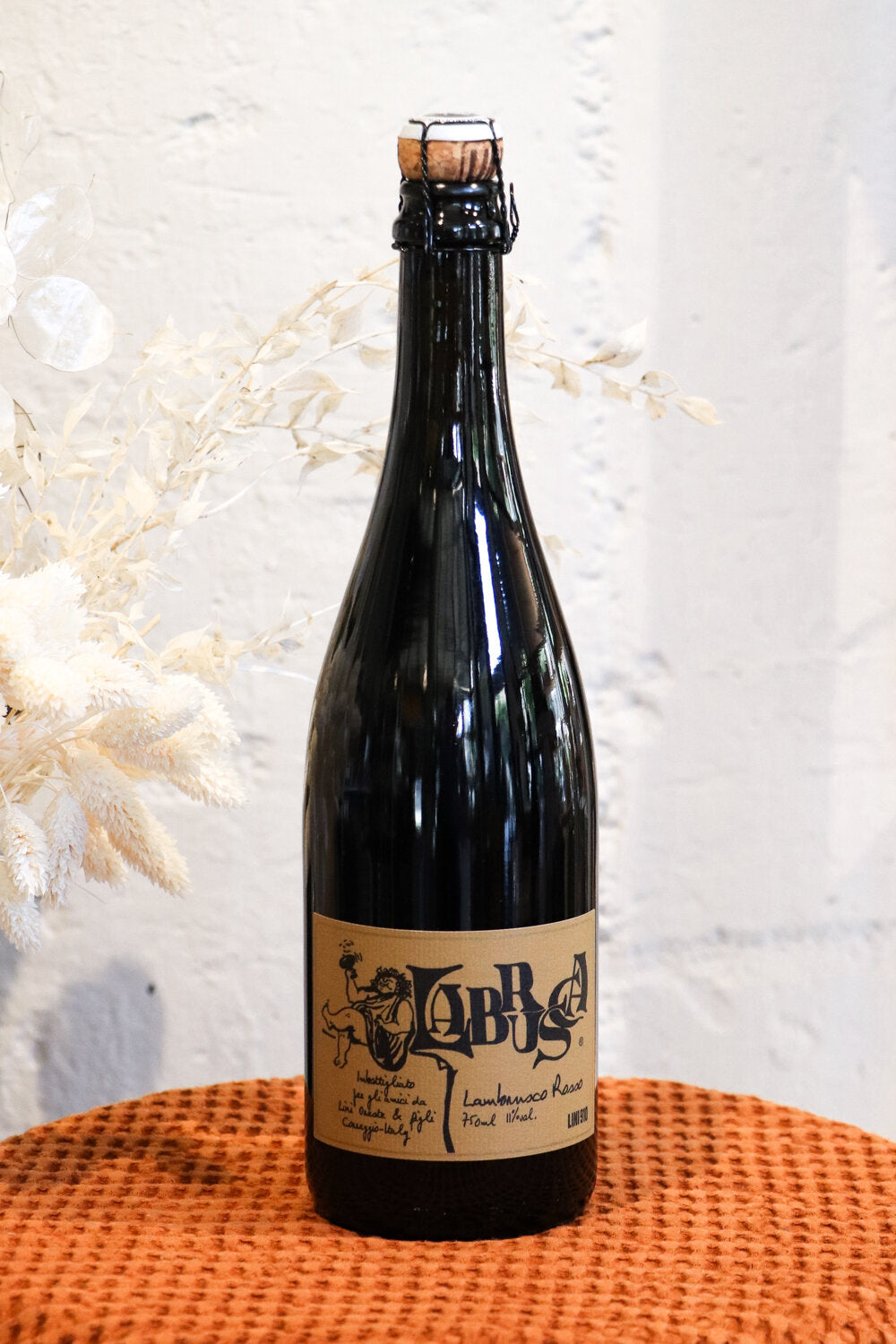 Labrusca Lambrusco LINI 910 Rosso