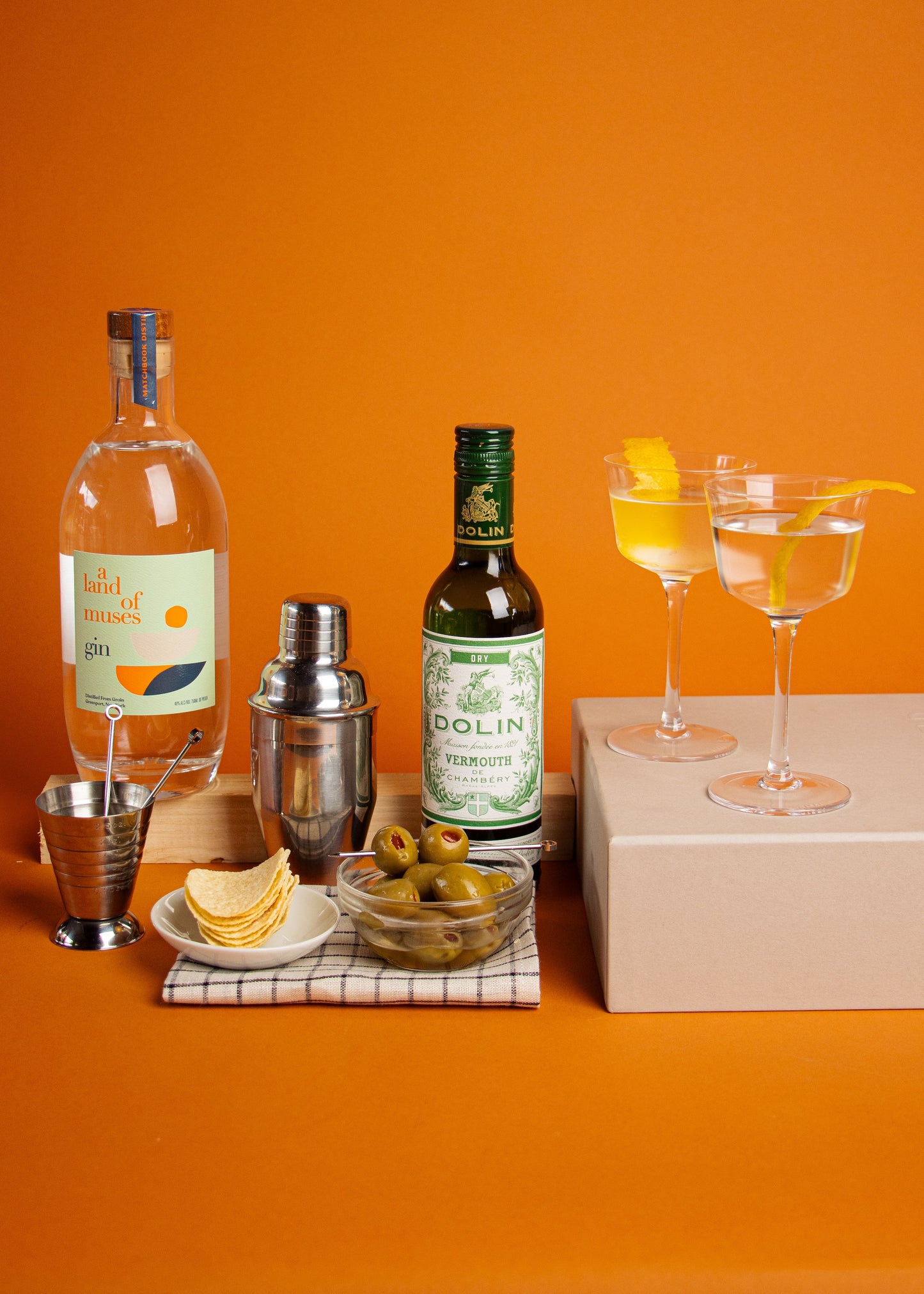 Gin Martini Gift Set