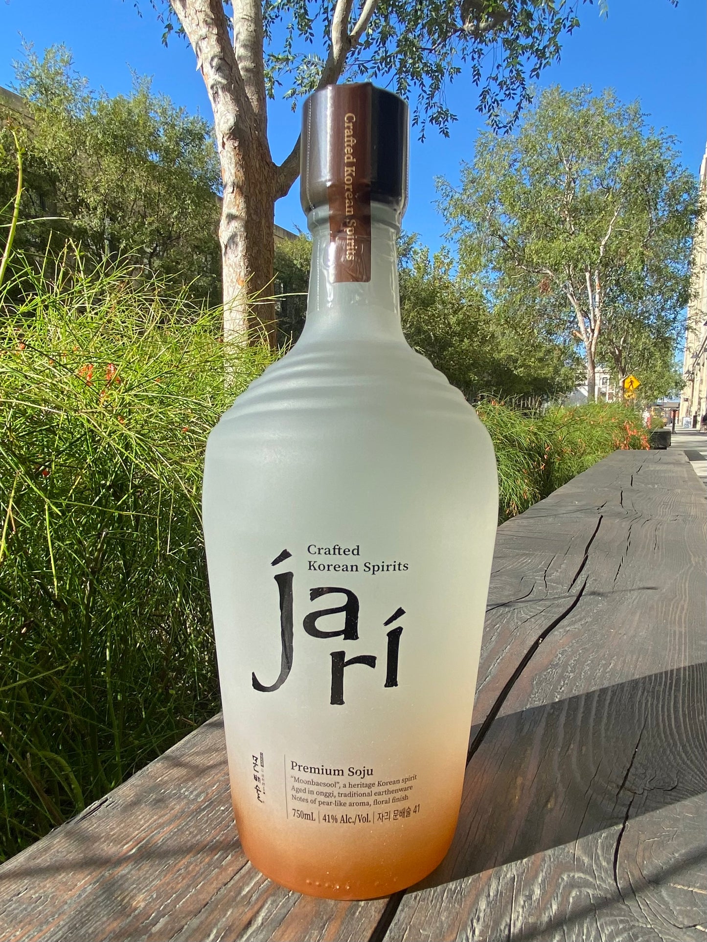 Jari MOONBAESOOL Premium Soju (Brown 750mL)