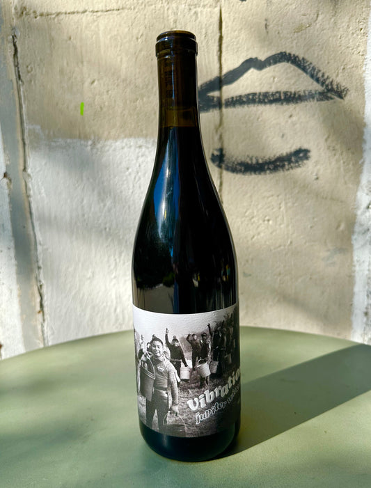 Jupiter Wine Co. "Vibration" Sangiovese 2022