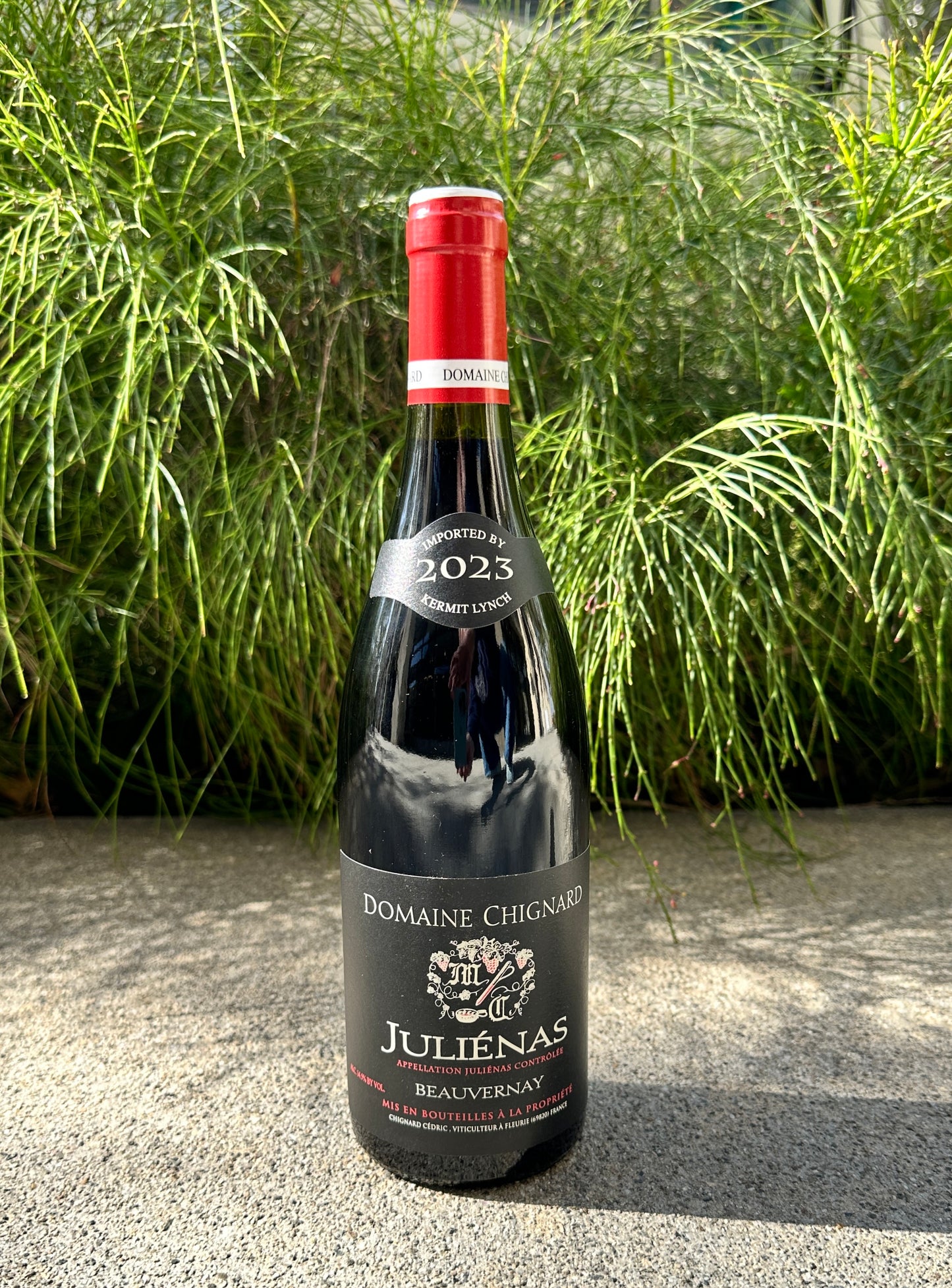 Domaine Chignard 2023 Juliénas "Beauvernay"