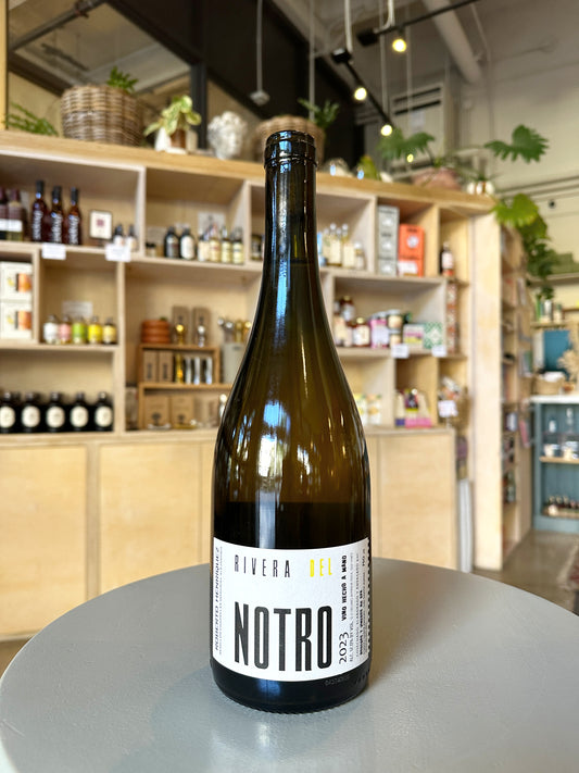 Roberto Henriquez Rivera Del Notro Blanco